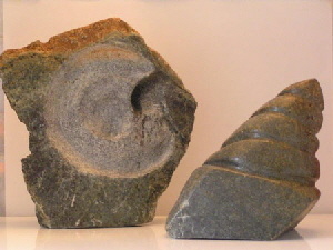 MuschelDuo1